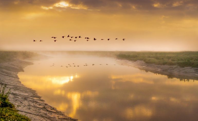 Over 143,000 Malware Files Target Android and iOS Users in Q2 2025