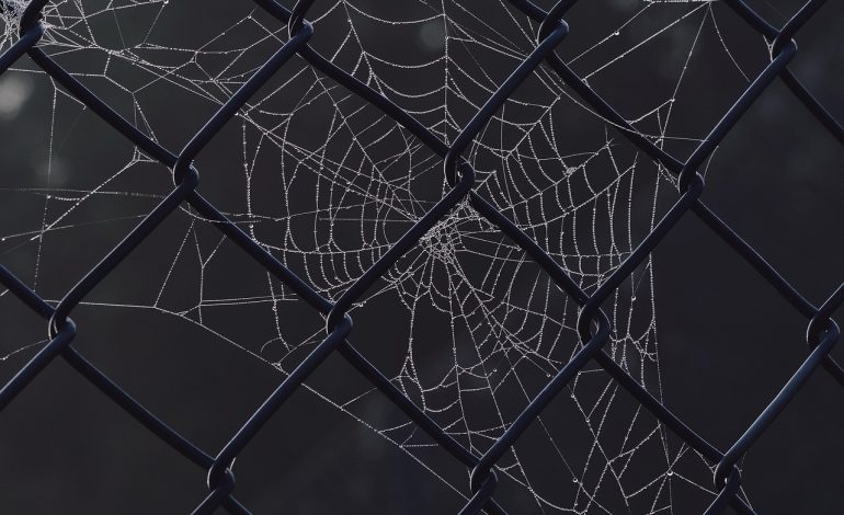 8 Key Reasons to Get Your Certificate of Status Online