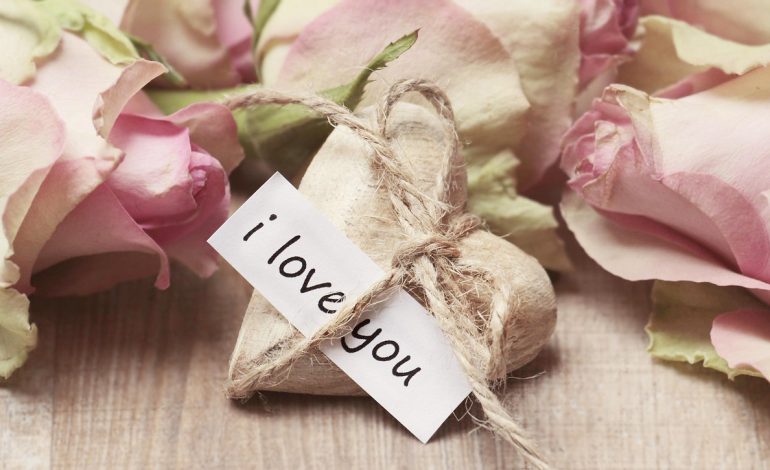 CRED MINER Announces Partnership with OurCryptoMiner to Open High-Yield Contracts for Dogecoin.