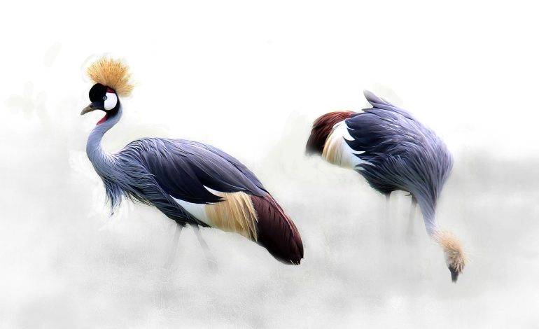 The Crane Rail Clips Quality for the Safety: A Critical Factor in Industrial Operations