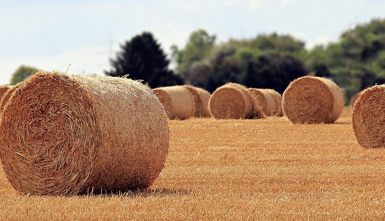 The Role of Checklists in Reducing Stress and Boosting Team Confidence