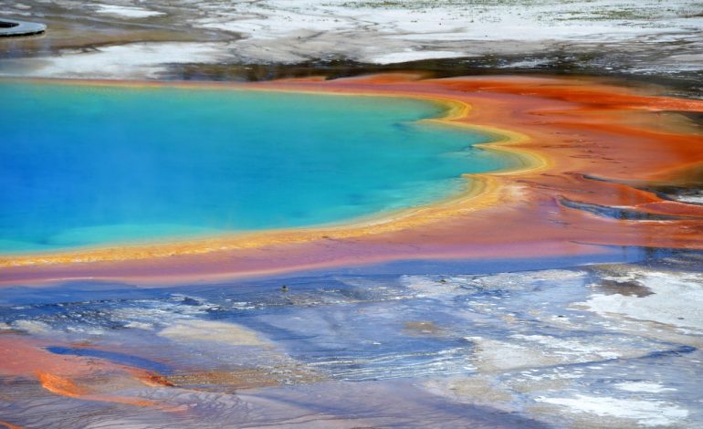 8 Impressive Features That Make Fanspicy a Top Choice