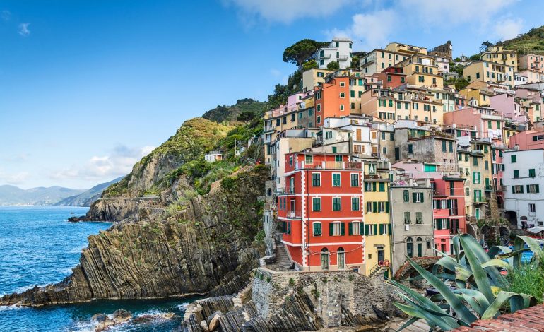 Popular NYC Dermatologist Dr. Eyal Levit Set to Launch The King’s Race in November 2025