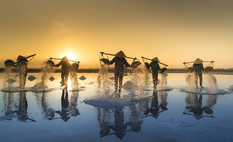 Himalayan Salt Tiles & Salt Bricks: Uses, Cleaning, Storage