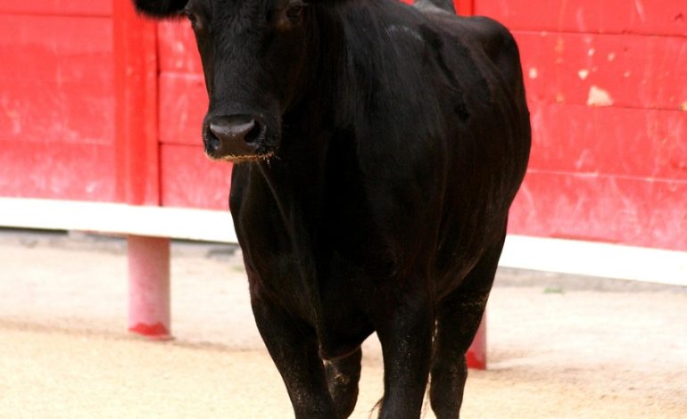 XRP Bulls Dream of $5, Polkadot Traders Stare at $3.90 while BlockDAG’s $403M Presale Proves It’s the Best Crypto to Invest In