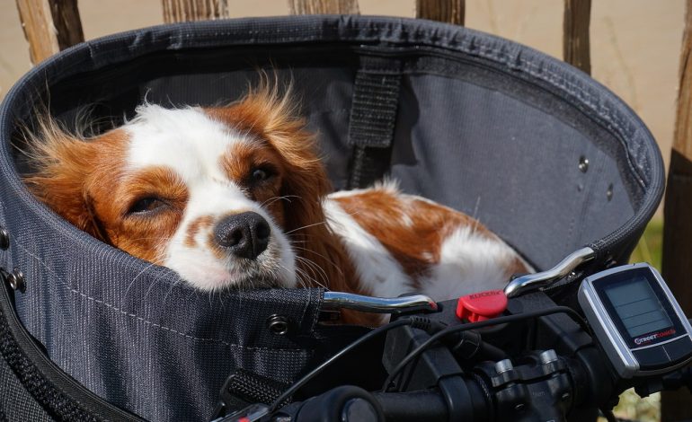 10 Reasons LYNO Could Be the Best Presale Buy of 2025