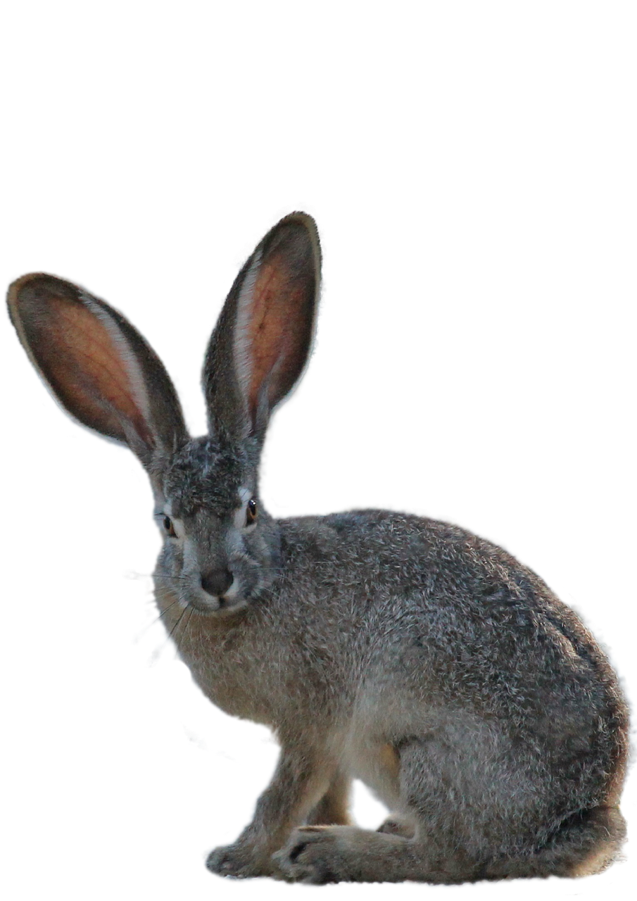 The Hidden Tech That Powers Productivity: From Digital Signage to Ergonomic Tools in the Modern Workplace