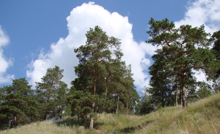 Aembit Named to Fast Company’s Seventh-Annual List of the 100 Best Workplaces for Innovators