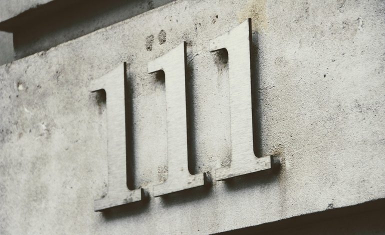 Somaliland: eleven cheetah cubs rescued from illegal trade in exotic pets