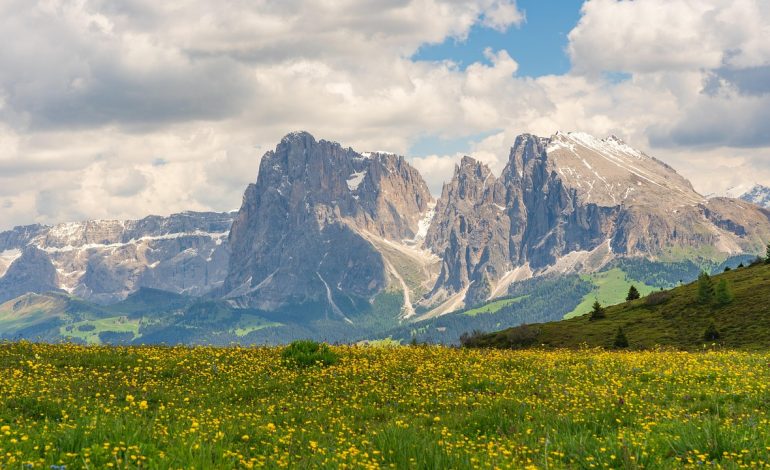 South Sudan president ousts military chief, reinstates predecessor