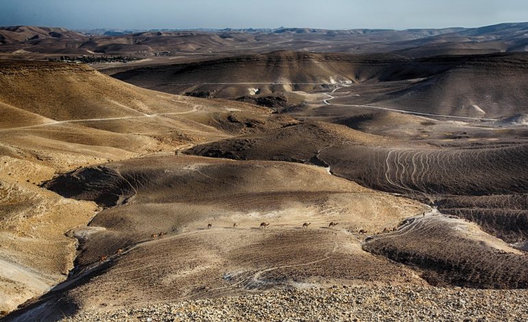 News|Israel-Palestine conflictWorld leaders gather in Egypt for signing of Gaza ceasefire dealUS President Trump praises ‘new beautiful day’ as Gaza war comes to an end, but questions about the future remain.