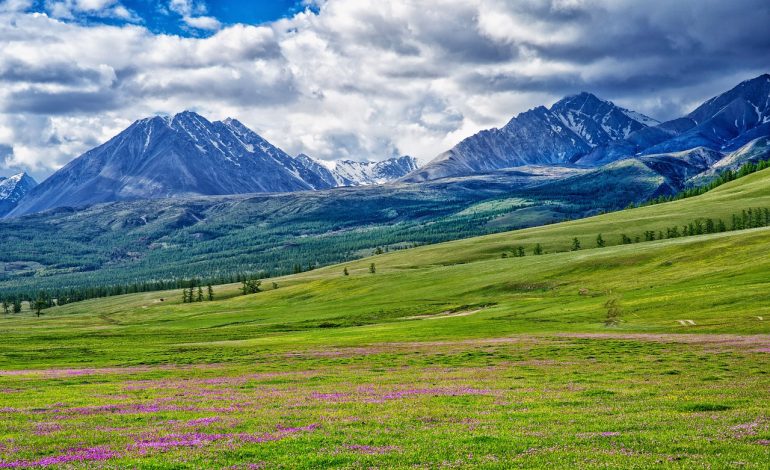 Gunmen ambush in Northwest Nigeria leaves 8 dead