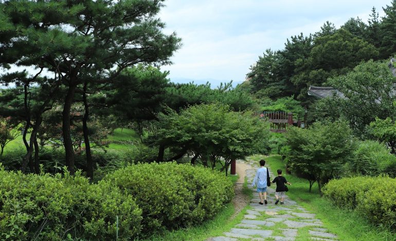 Child soldiers released by South Sudan’s People’s Defence Forces prepare for civilian life