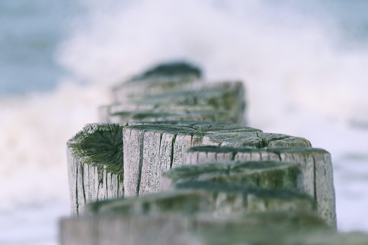 Fighting in North Darfur triples displacement amid Sudan crisis