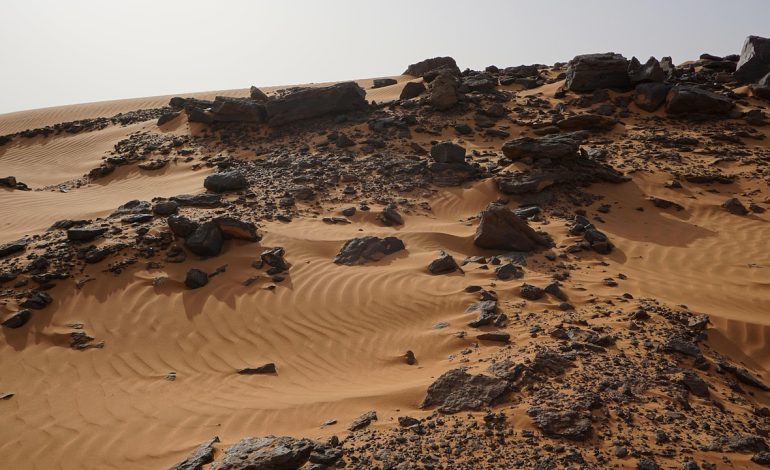 BNP Paribas shares drop after US court verdict on liability in Sudan atrocities