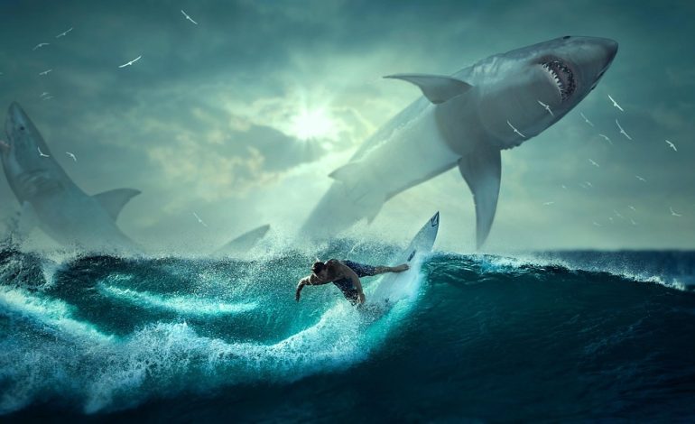 ‘We fear for our souls’ – Nigerian farmers need armed guards to protect them from jihadists