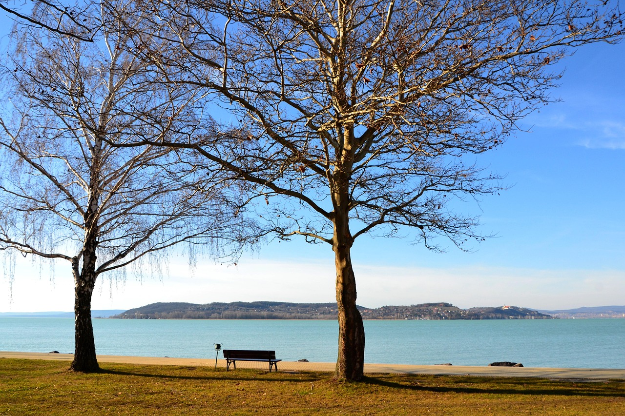 Revving up history: The motorsport legacy of Cape Town is back