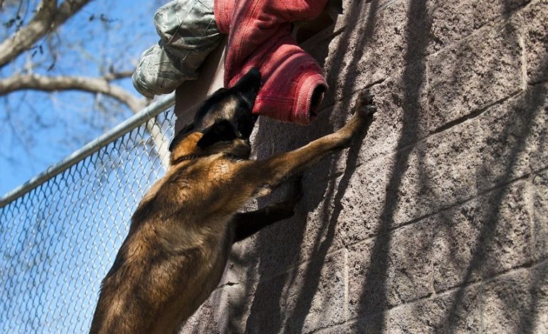 Hackers Attacking Remote Desktop Protocol Services from 100,000+ IP Addresses