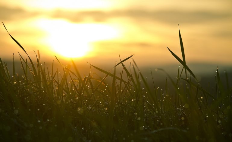 A New Chapter in South Africa’s Forex Story: Why Analysts Welcome Comofx